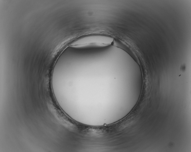 X0000116340442200912221444