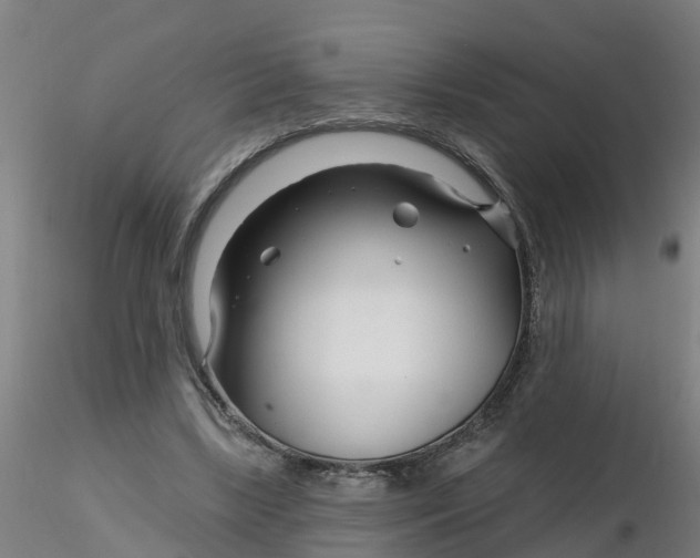 X0000116340443200912221444