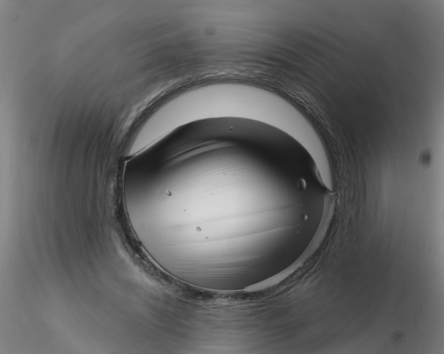 X0000116340444200912221444