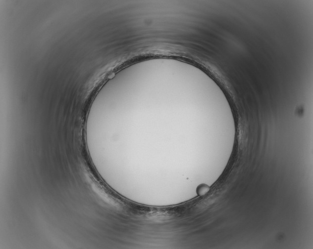 X0000116340445200912221444