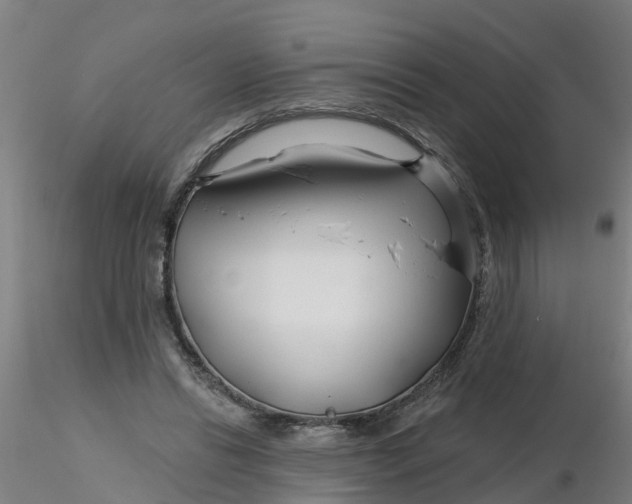 X0000116340446200912221444