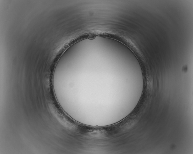 X0000116340447200912221444