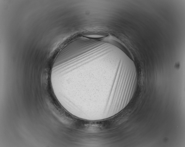 X0000116340448200912221444