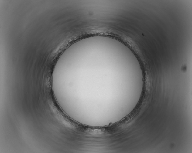 X0000116340449200912221444