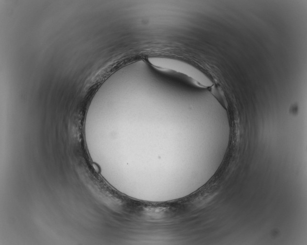 X0000116340450200912221444