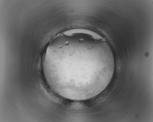 X0000116340451200912221444