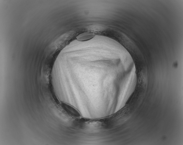 X0000116340452200912221444