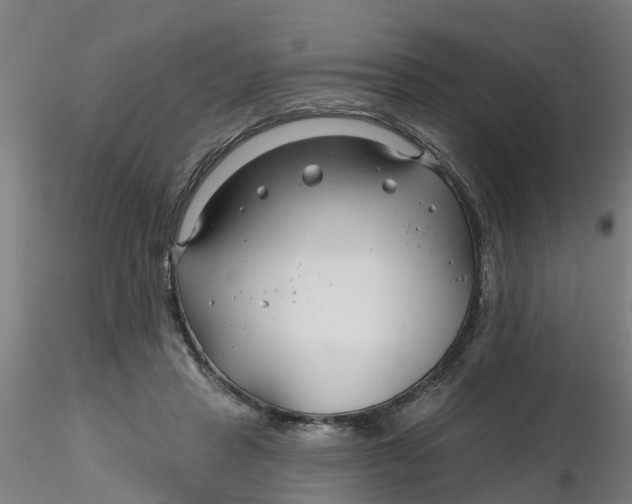 X0000116340453200912221444