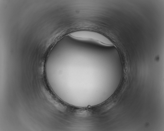 X0000116340454200912221444