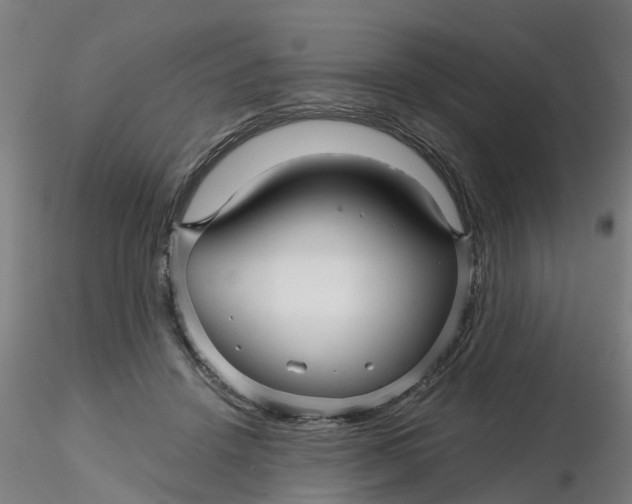 X0000116340456200912221444