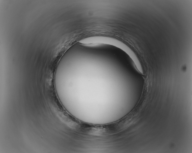 X0000116340458200912221444