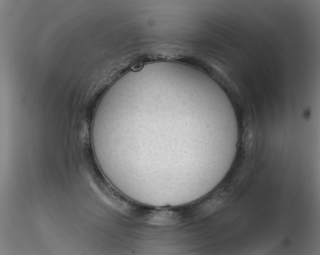 X0000116340459200912221444