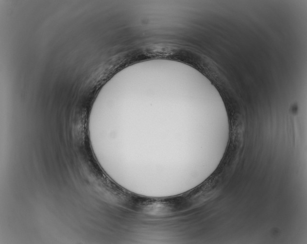 X0000116340460200912221444