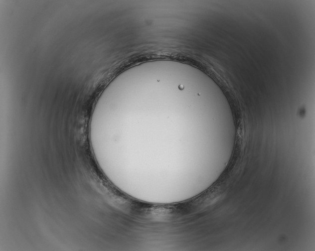 X0000116340462200912221444