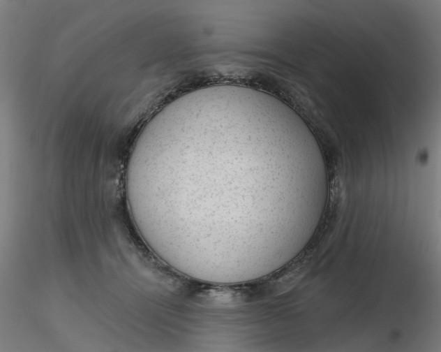 X0000116340464200912221444