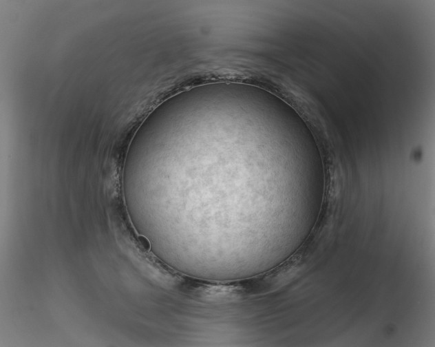 X0000116340465200912221444