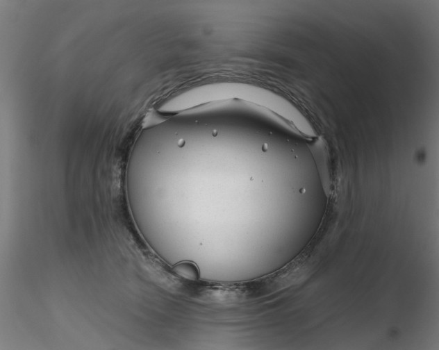 X0000116340466200912221444