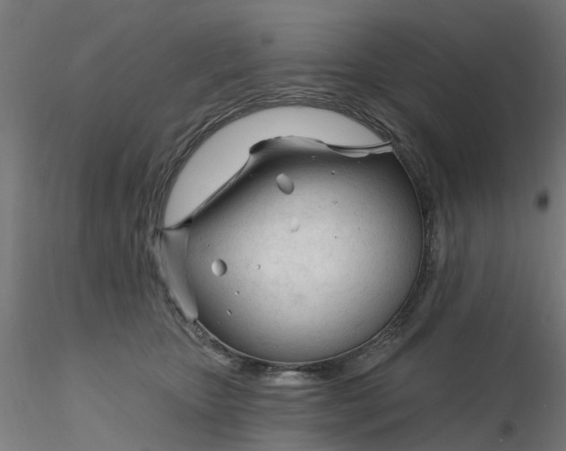 X0000116340467200912221444