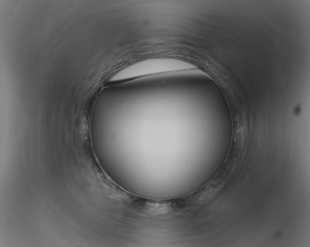 X0000116340469200912221445