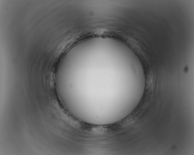 X0000116340470200912221445