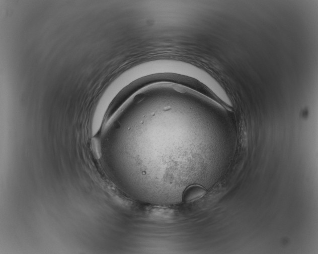 X0000116340471200912221445