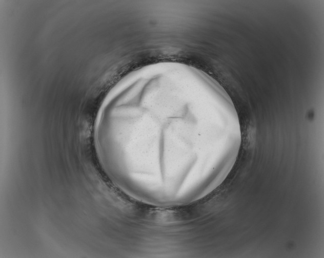 X0000116340472200912221445