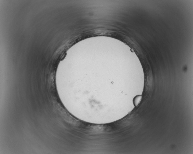 X0000116340473200912221445