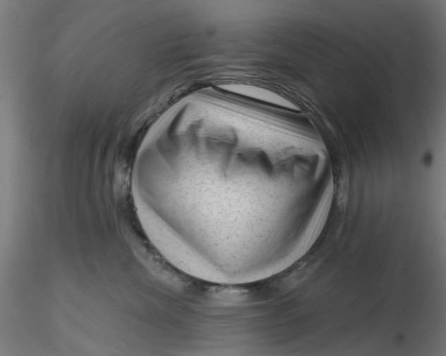 X0000116340476200912221445