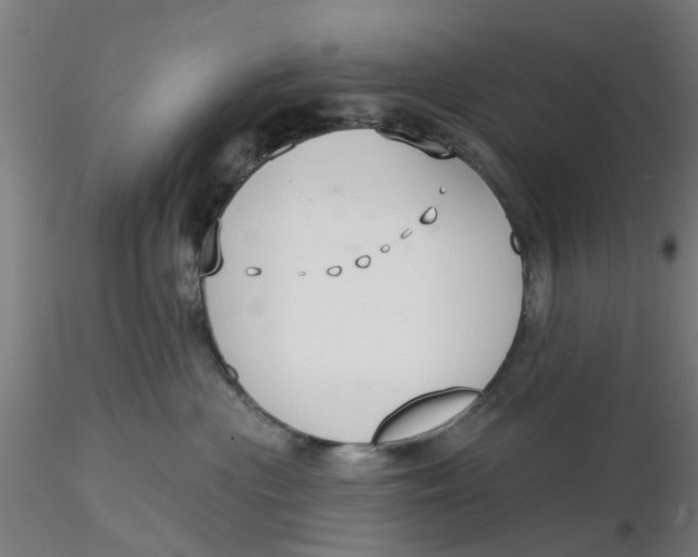 X0000116340477200912221445