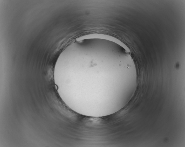 X0000116340478200912221445