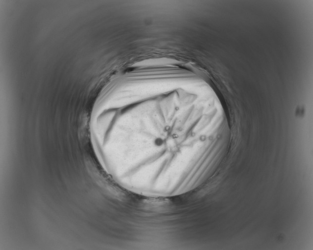 X0000116340480200912221445