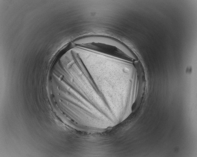 X0000116340481200912221444