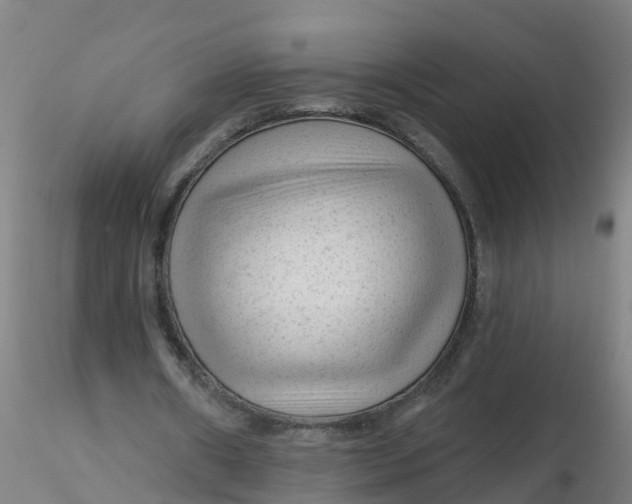 X0000116340482200912221444