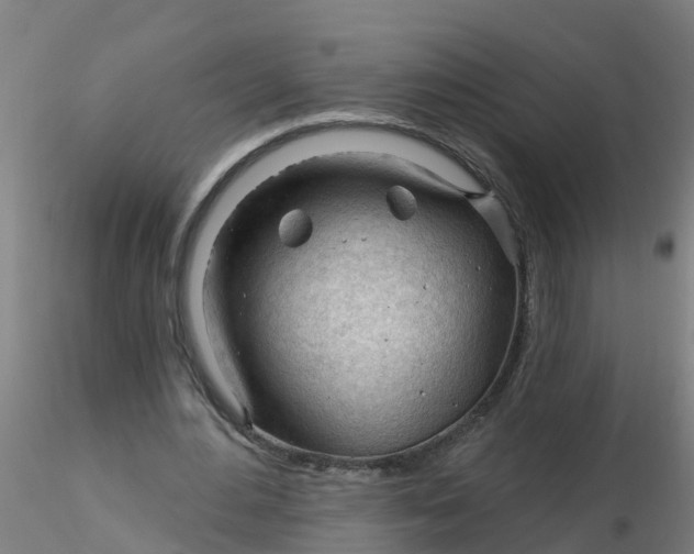 X0000116340484200912221444