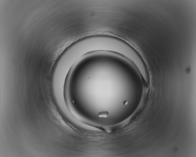 X0000116340485200912221444