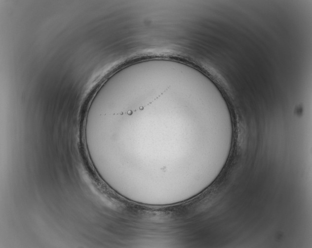 X0000116340486200912221444