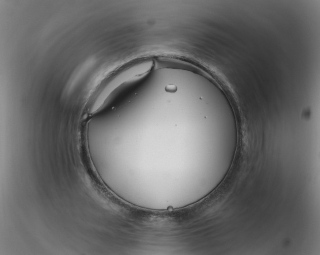 X0000116340487200912221444