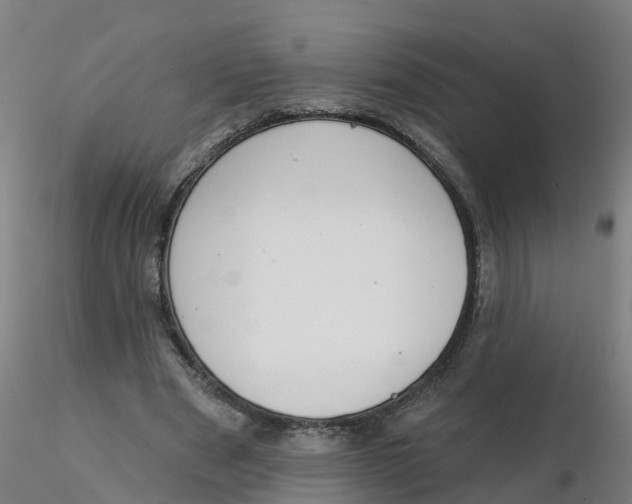 X0000116340489200912221444