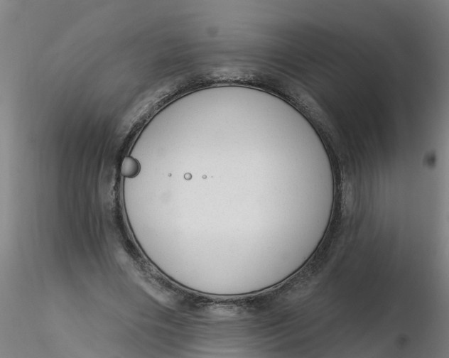 X0000116340490200912221444