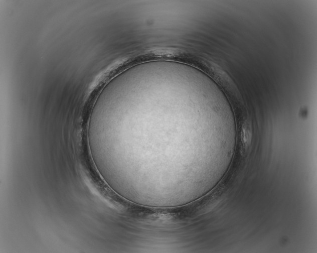 X0000116340492200912221444