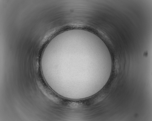 X0000116340494200912221444