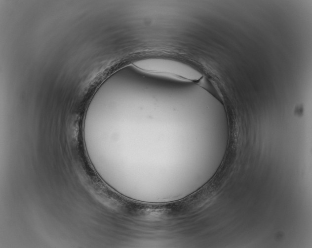 X0000116340495200912221444