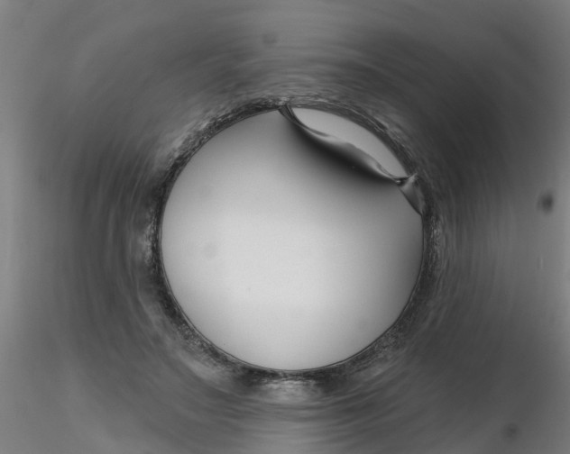 X0000116340499200912221444