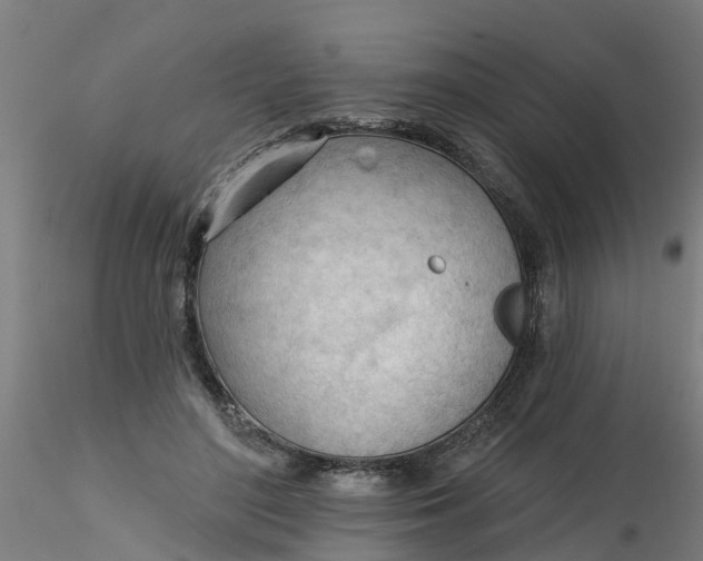 X0000116340500200912221444