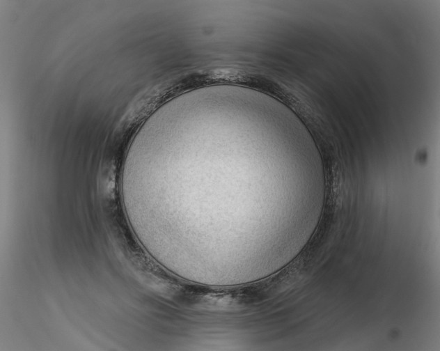 X0000116340502200912221444