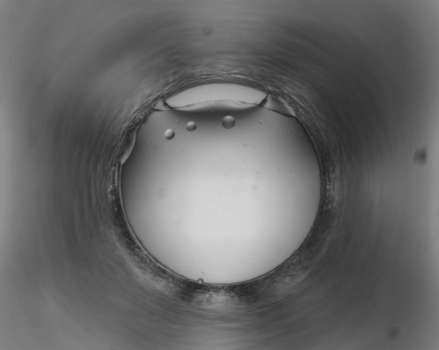 X0000116340503200912221444