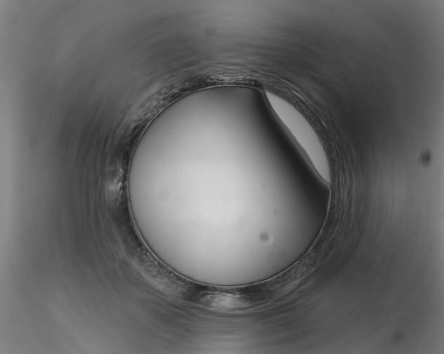 X0000116340507200912221444