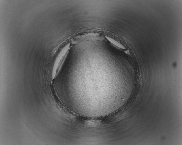 X0000116340508200912221444