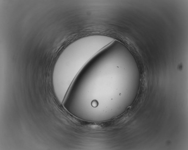 X0000116340509200912221444