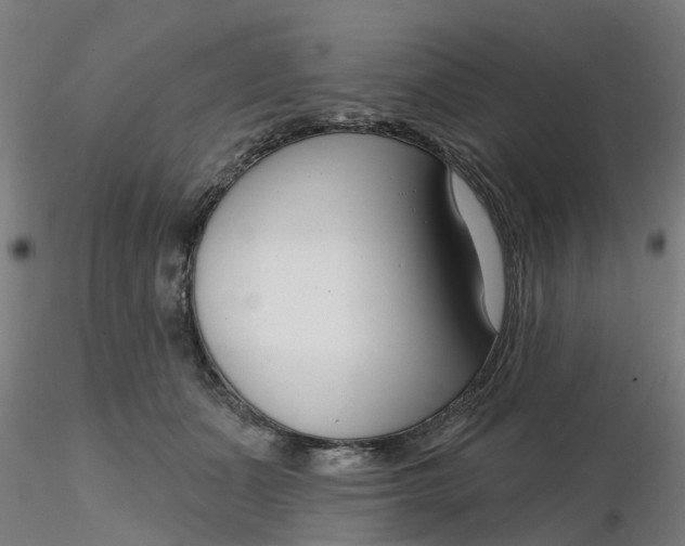 X0000116340511200912221444